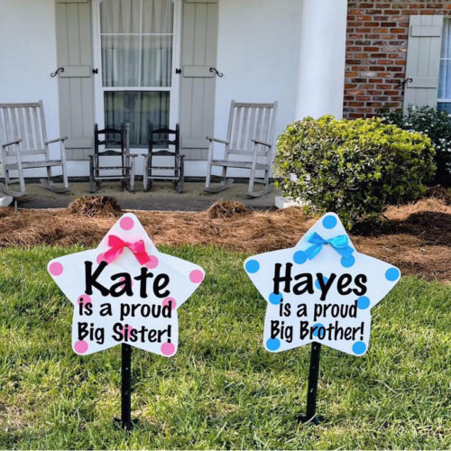 Sibling Stars in Pink and Blue Decorations, Birth Announcement Yard Stork Sign in Golden Isles - St Simons, Jekyll, Sea Island, Darien & Brunswick